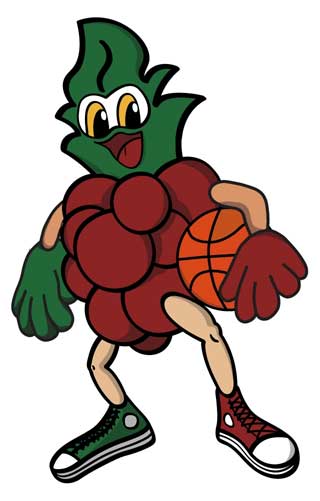Basquetebol
